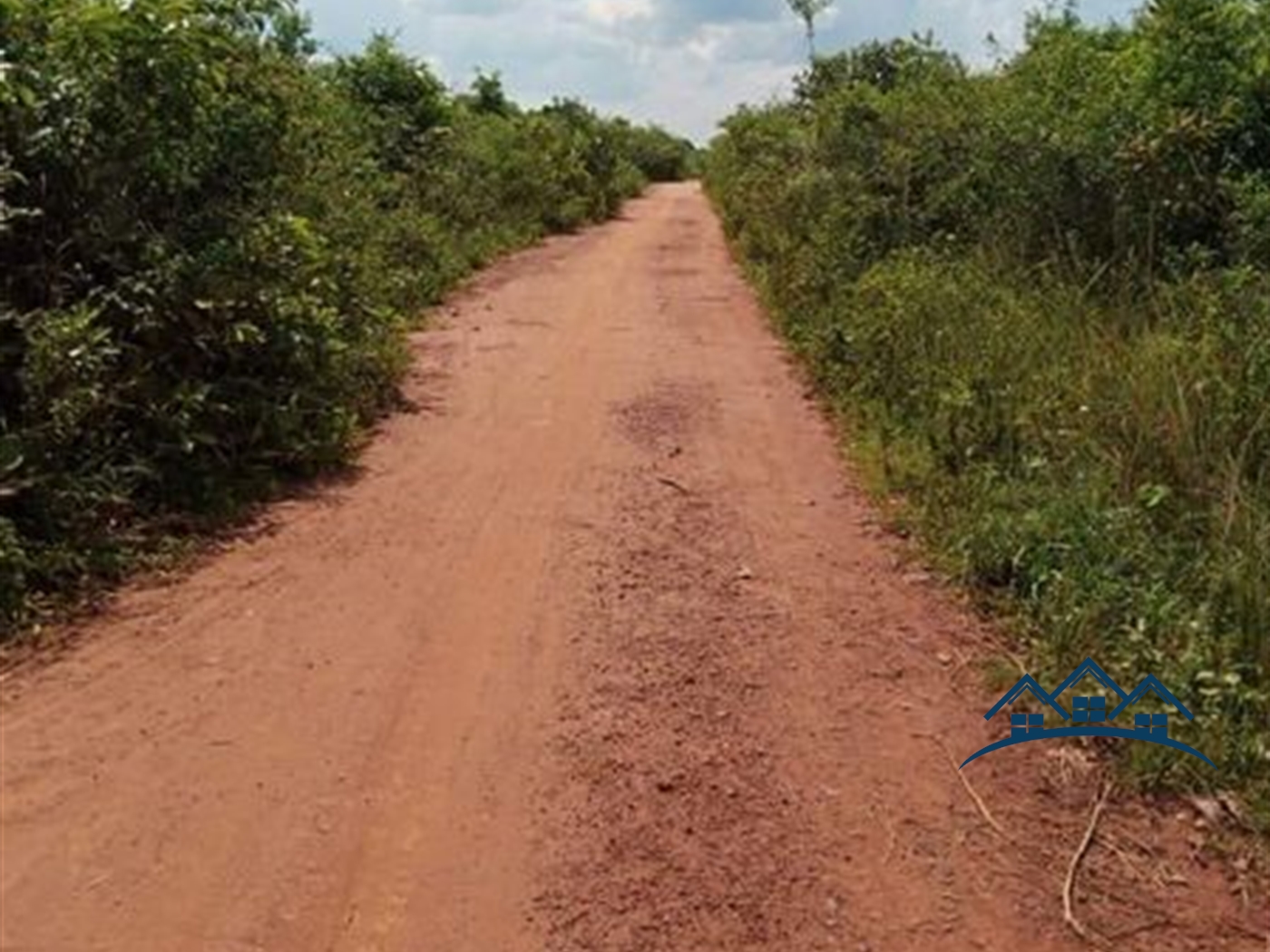 Agricultural Land for sale in Katuugo Nakasongola