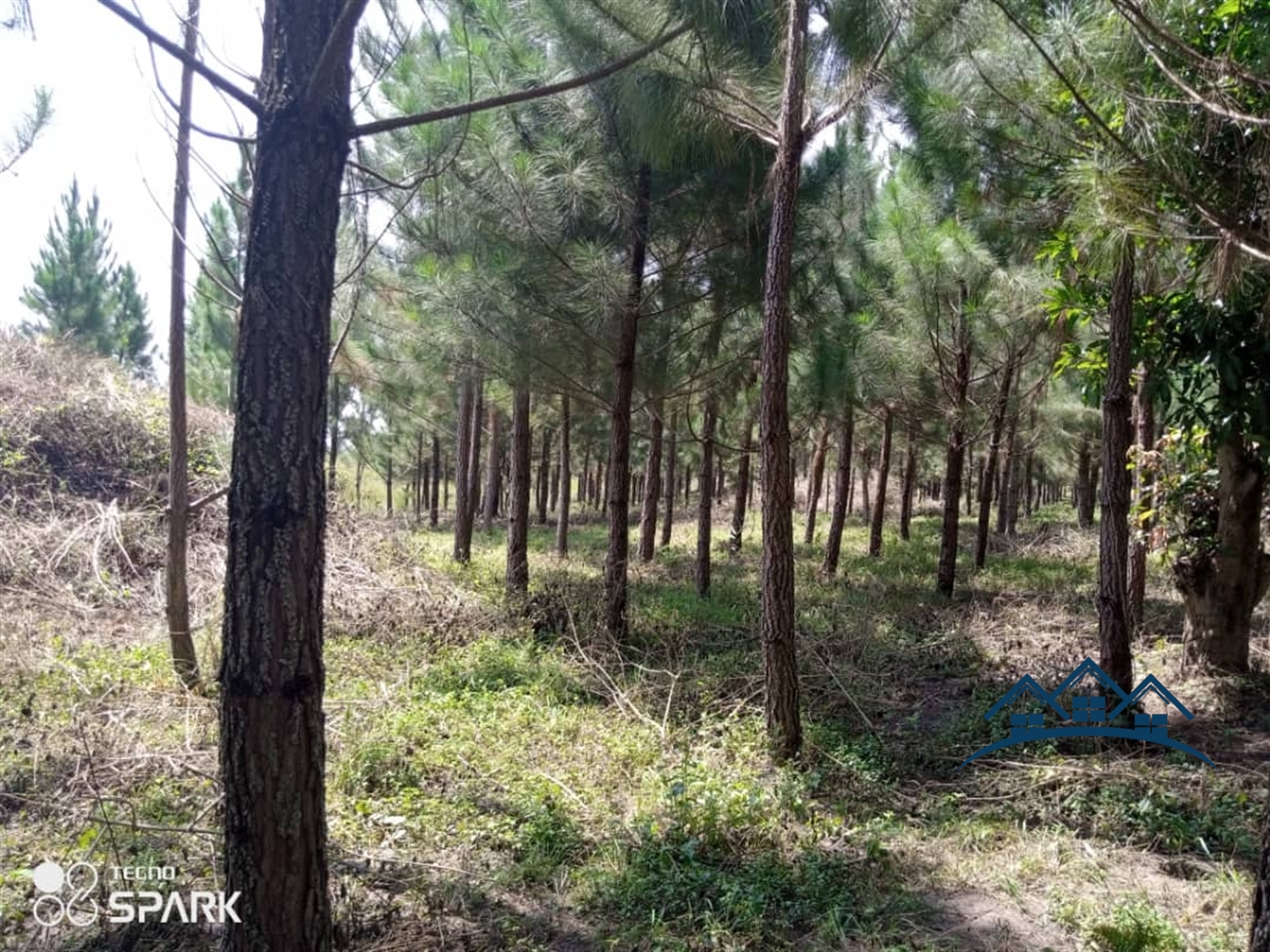 Agricultural Land for sale in Butalangu Nakaseke