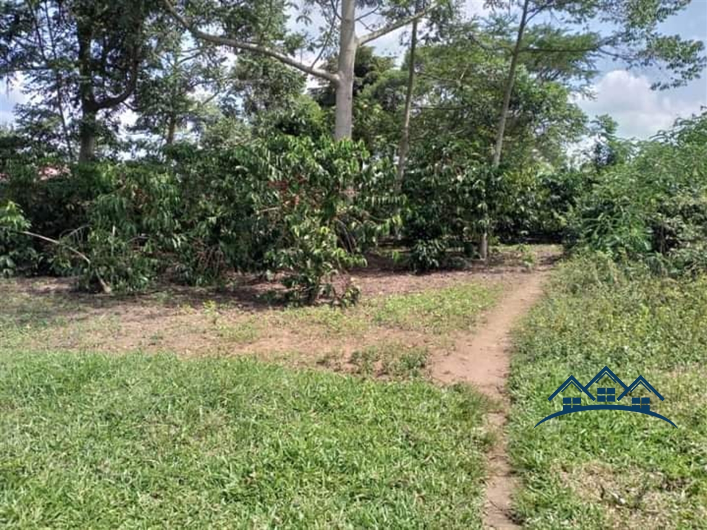 Agricultural Land for sale in Wobulenzi Luweero