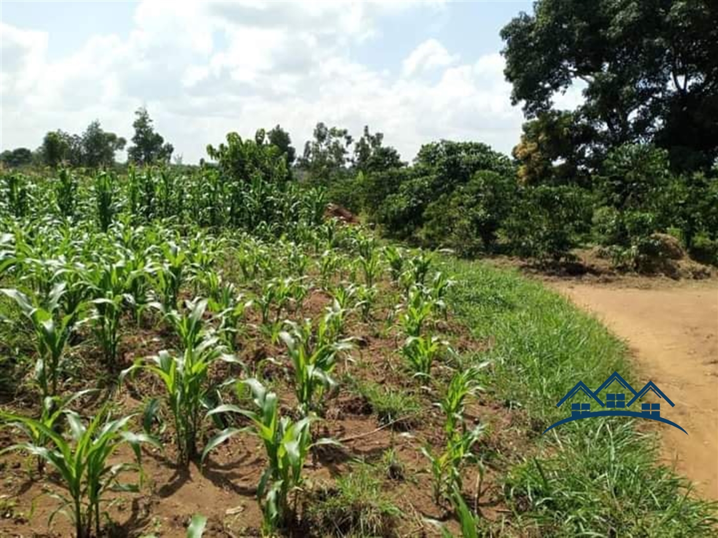 Agricultural Land for sale in Wobulenzi Luweero