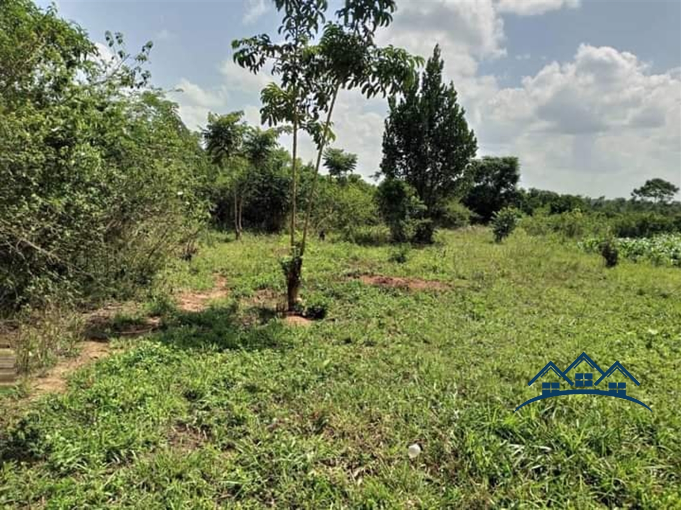 Agricultural Land for sale in Wobulenzi Luweero