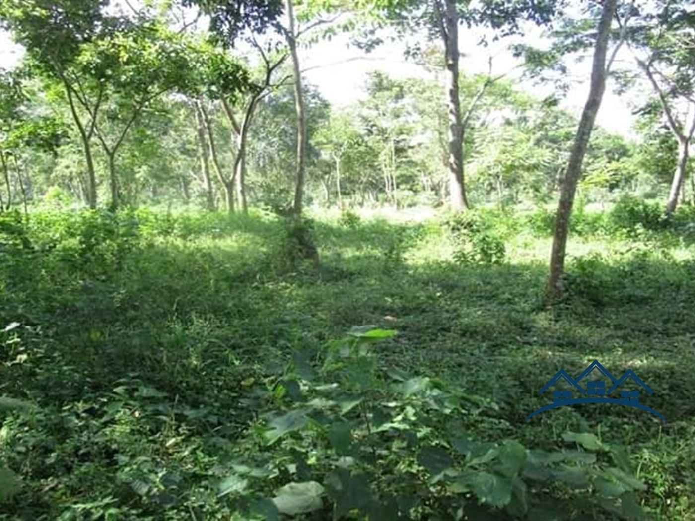 Recreational Land for sale in Njjeru Jinja