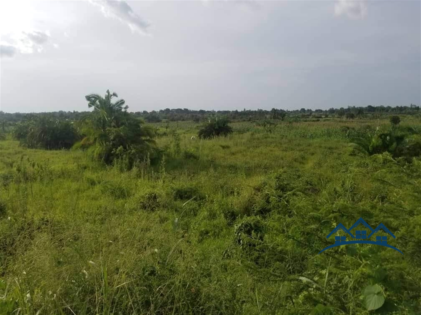 Farm for sale in Kakooge Nakaseke