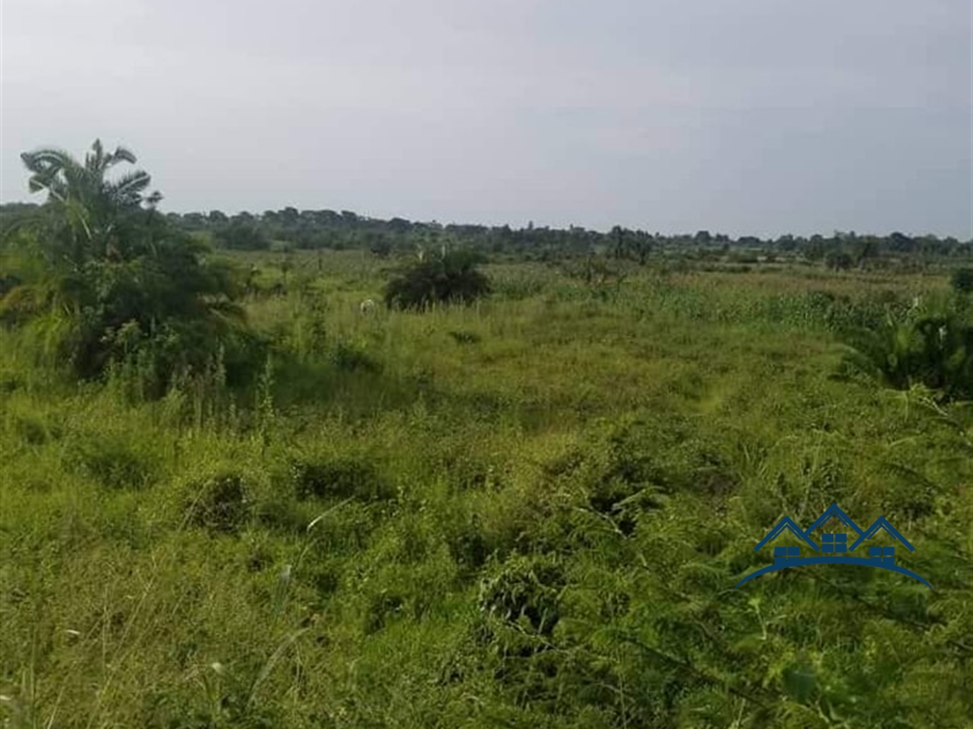 Farm for sale in Kakooge Nakaseke