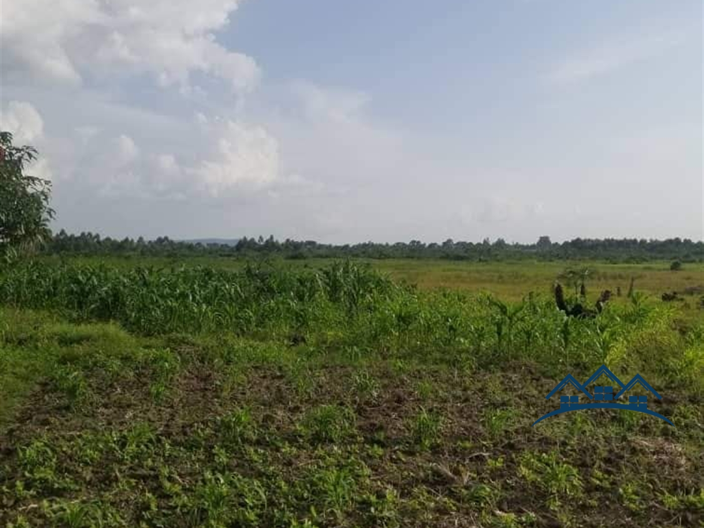 Farm for sale in Kakooge Nakaseke