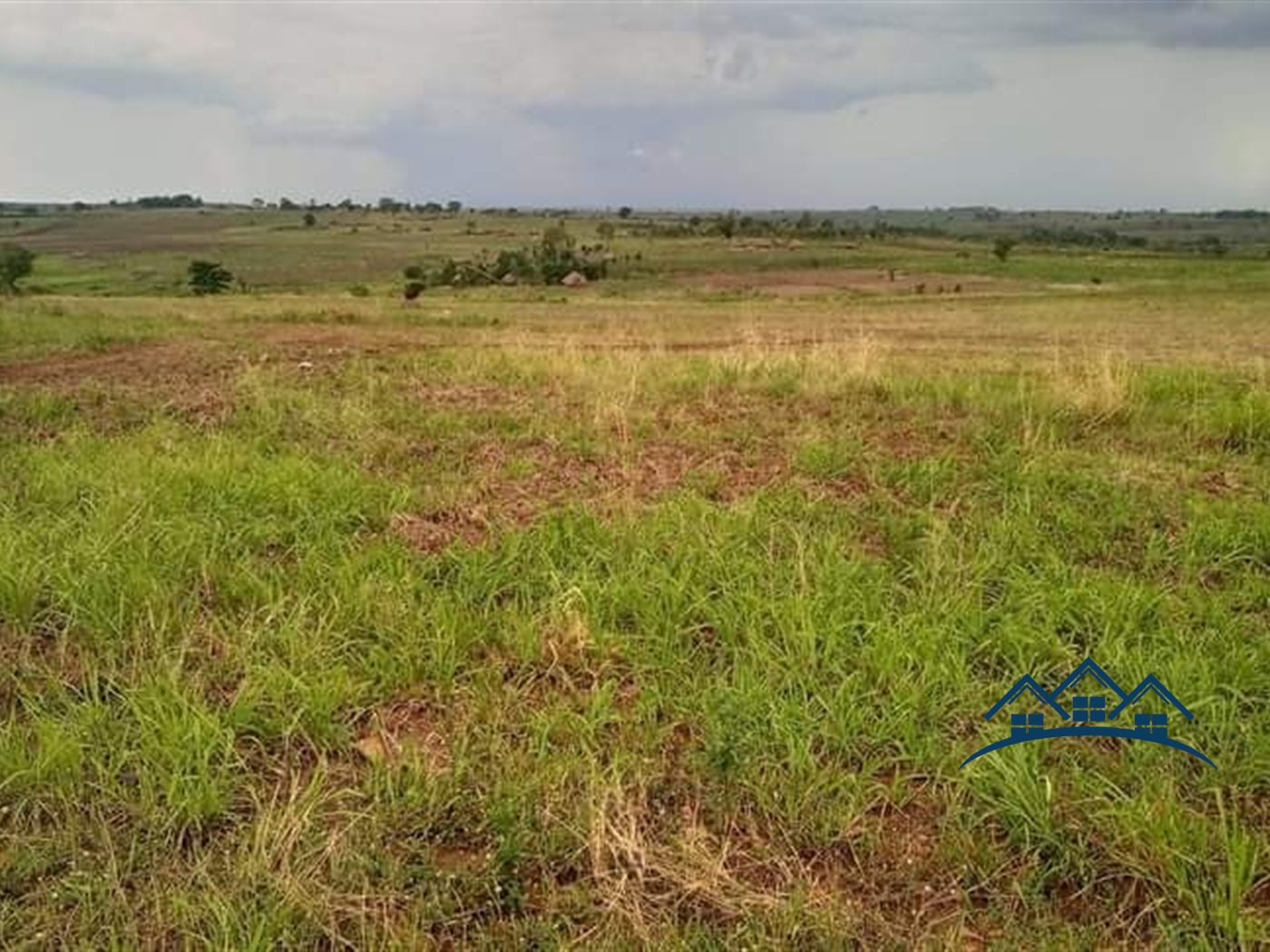 Agricultural Land for sale in Northern Nwoya