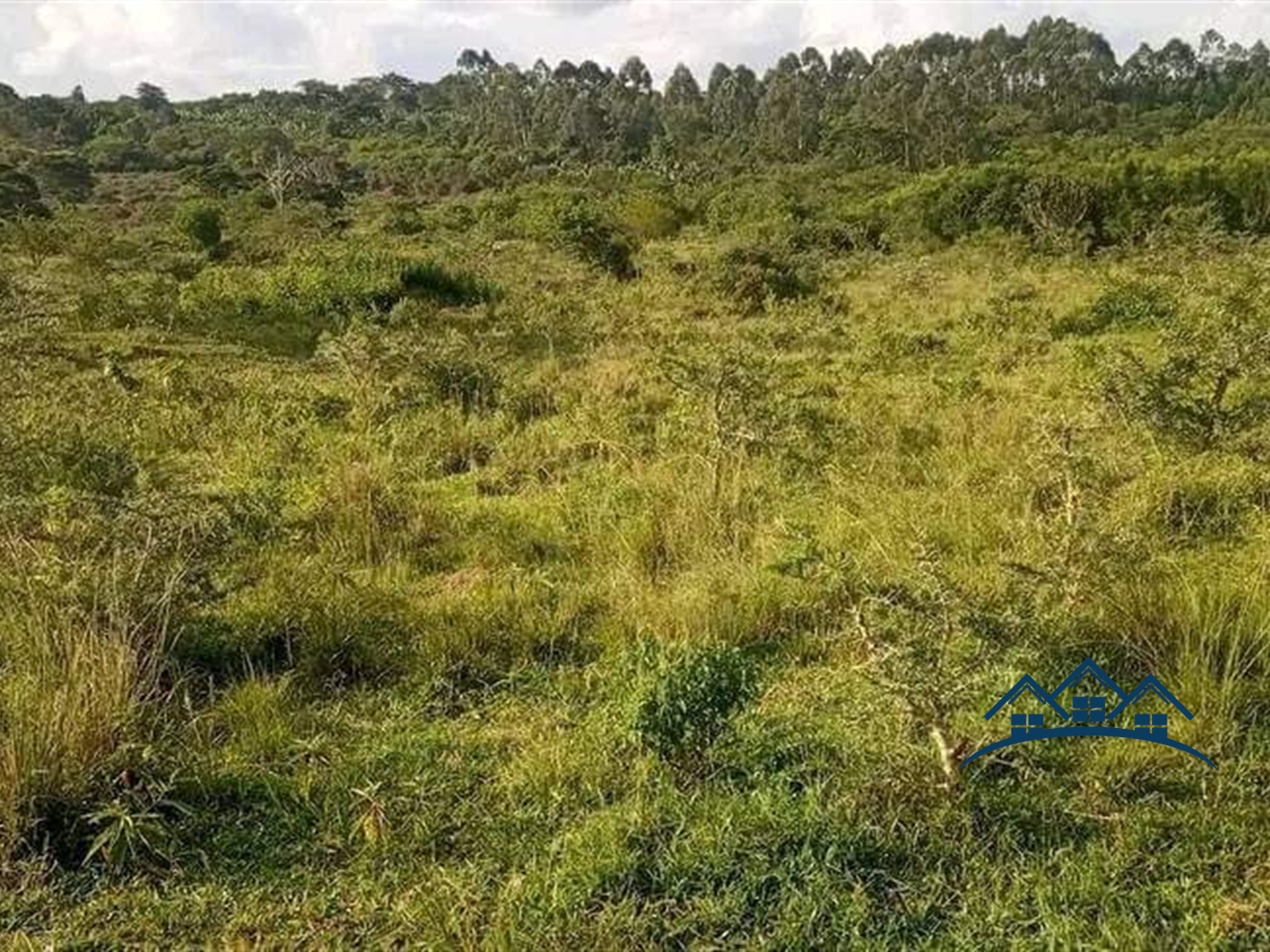 Agricultural Land for sale in Maddu Sembabule