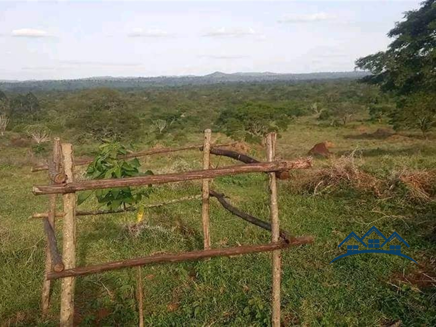 Agricultural Land for sale in Maddu Sembabule