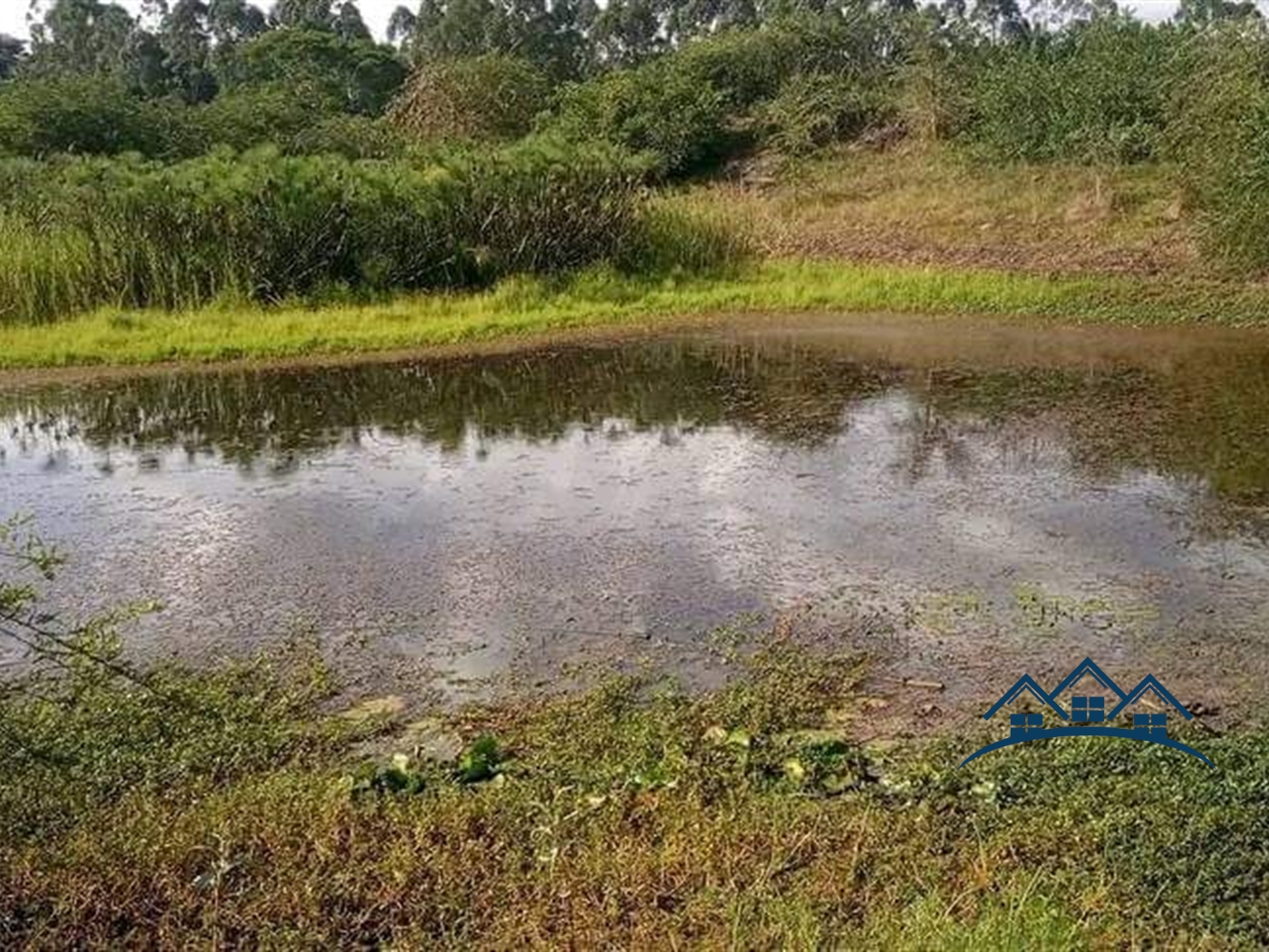 Agricultural Land for sale in Maddu Sembabule