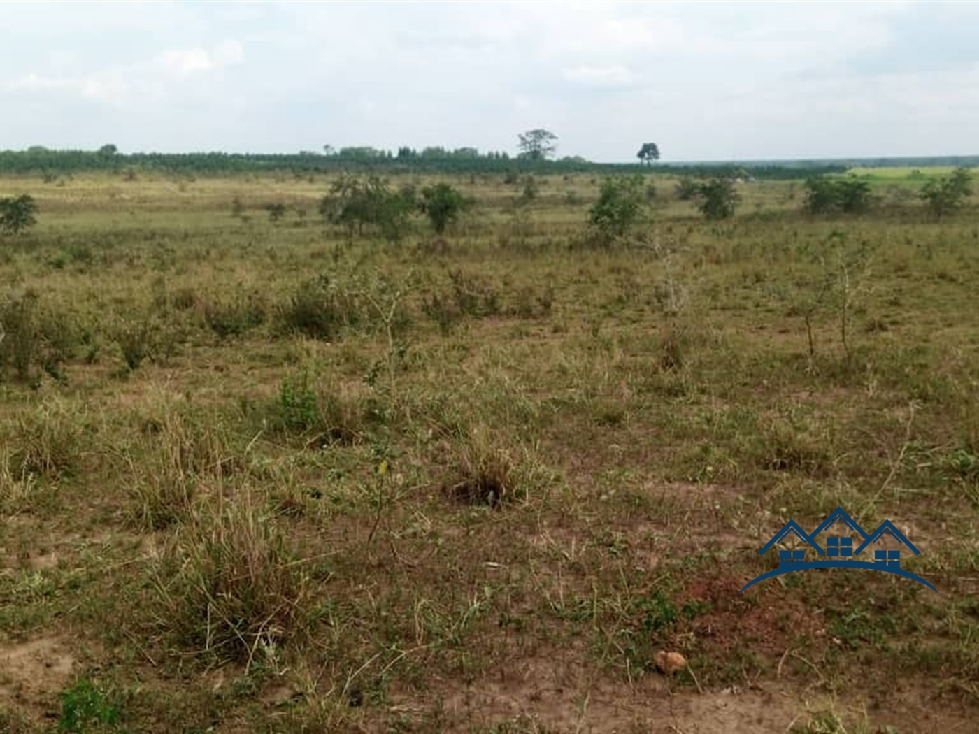 Agricultural Land for sale in Kakooge Luweero