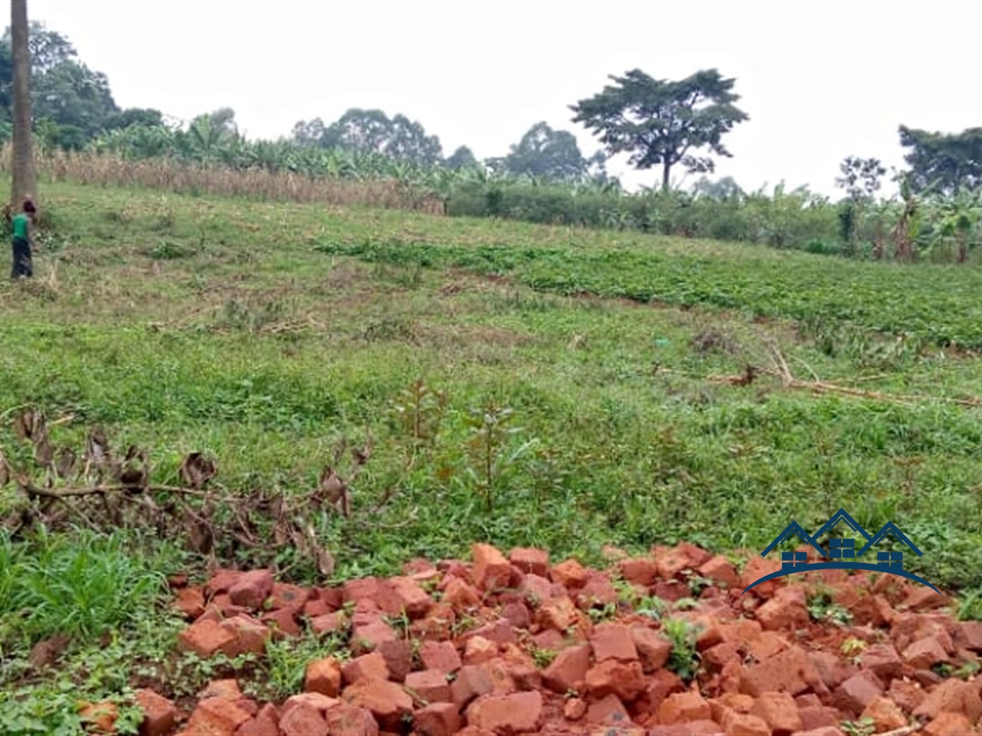 Industrial Land for sale in Mbalala Mukono