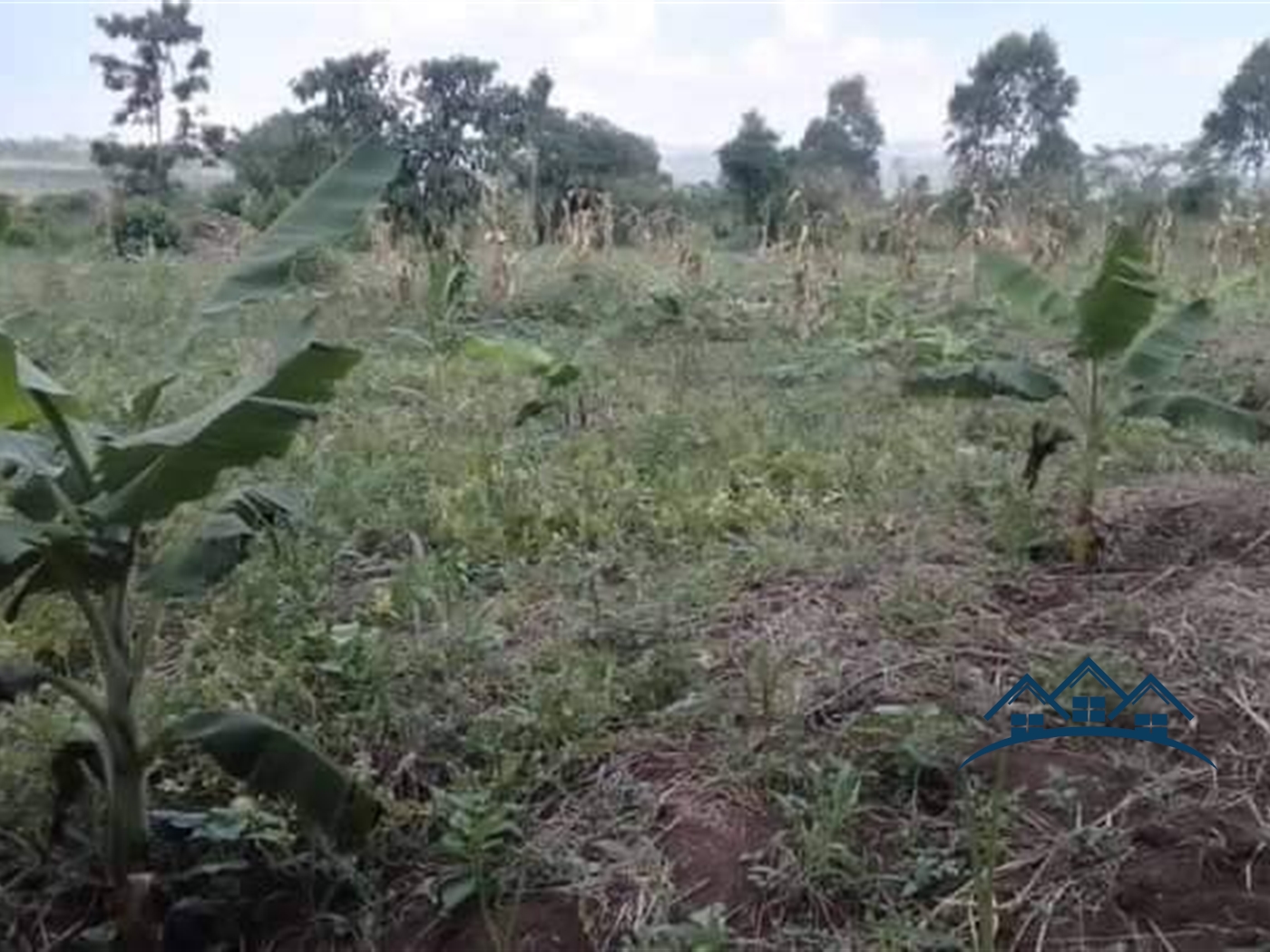 Industrial Land for sale in Mbalala Mukono