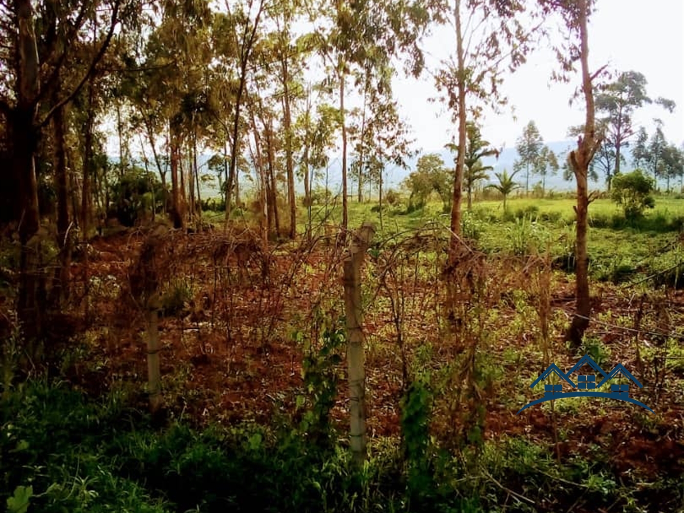 Agricultural Land for sale in Kireka Kiboga