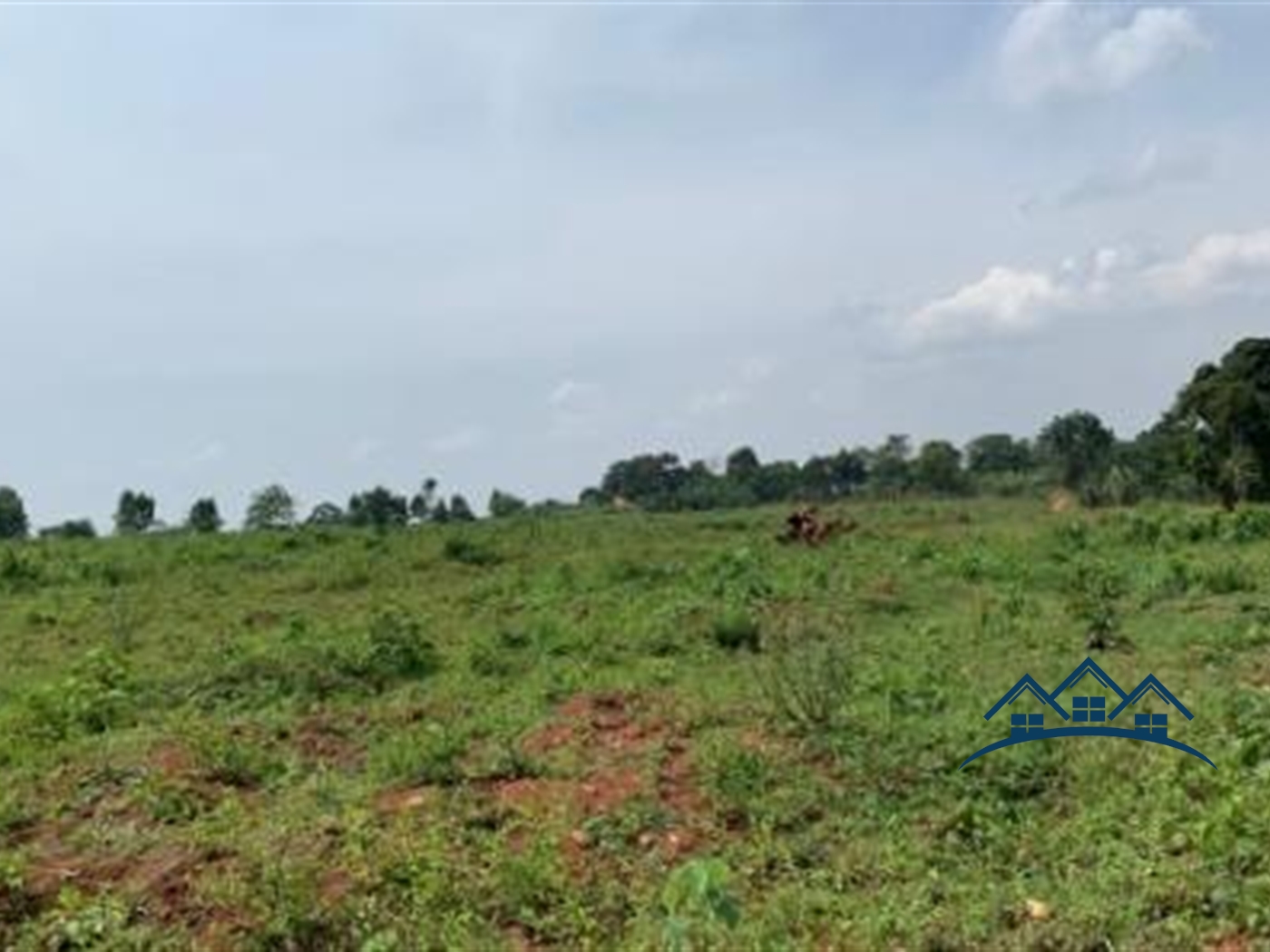 Agricultural Land for sale in Kireka Kiboga