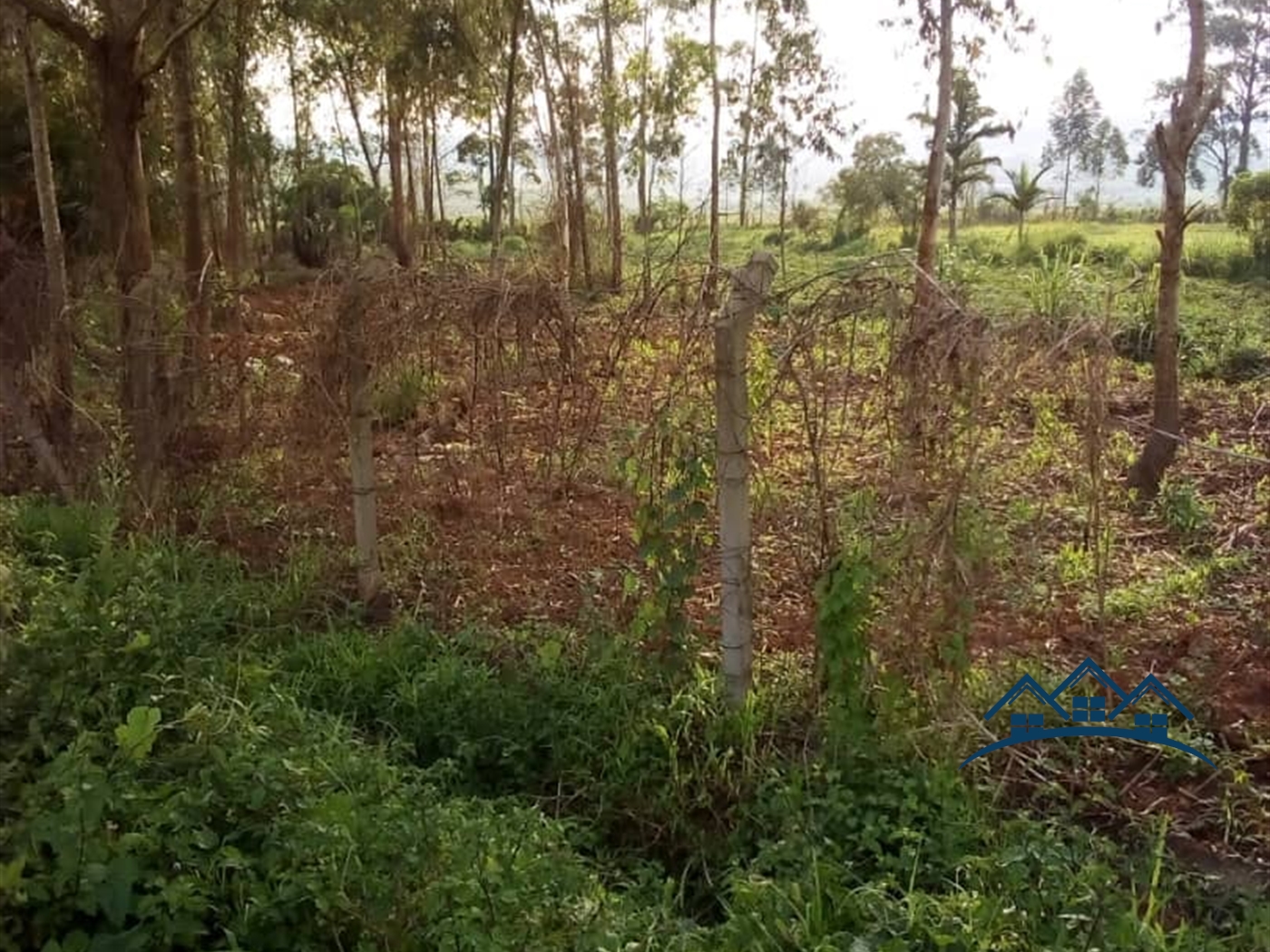 Agricultural Land for sale in Kireka Kiboga