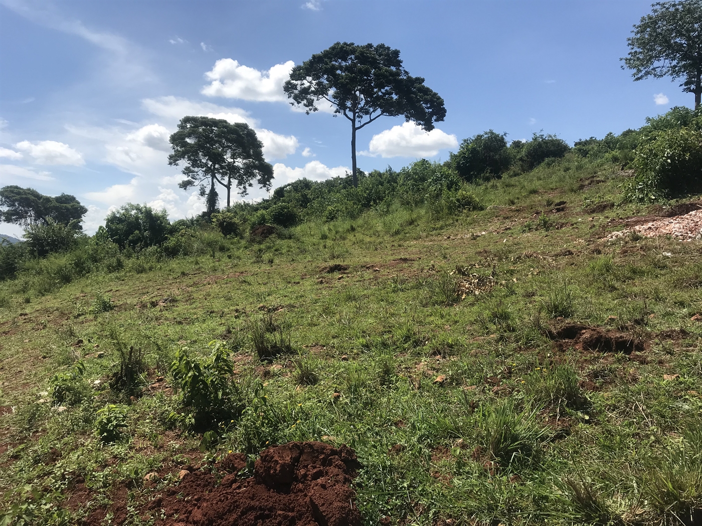 Residential Land for sale in Kitende Wakiso