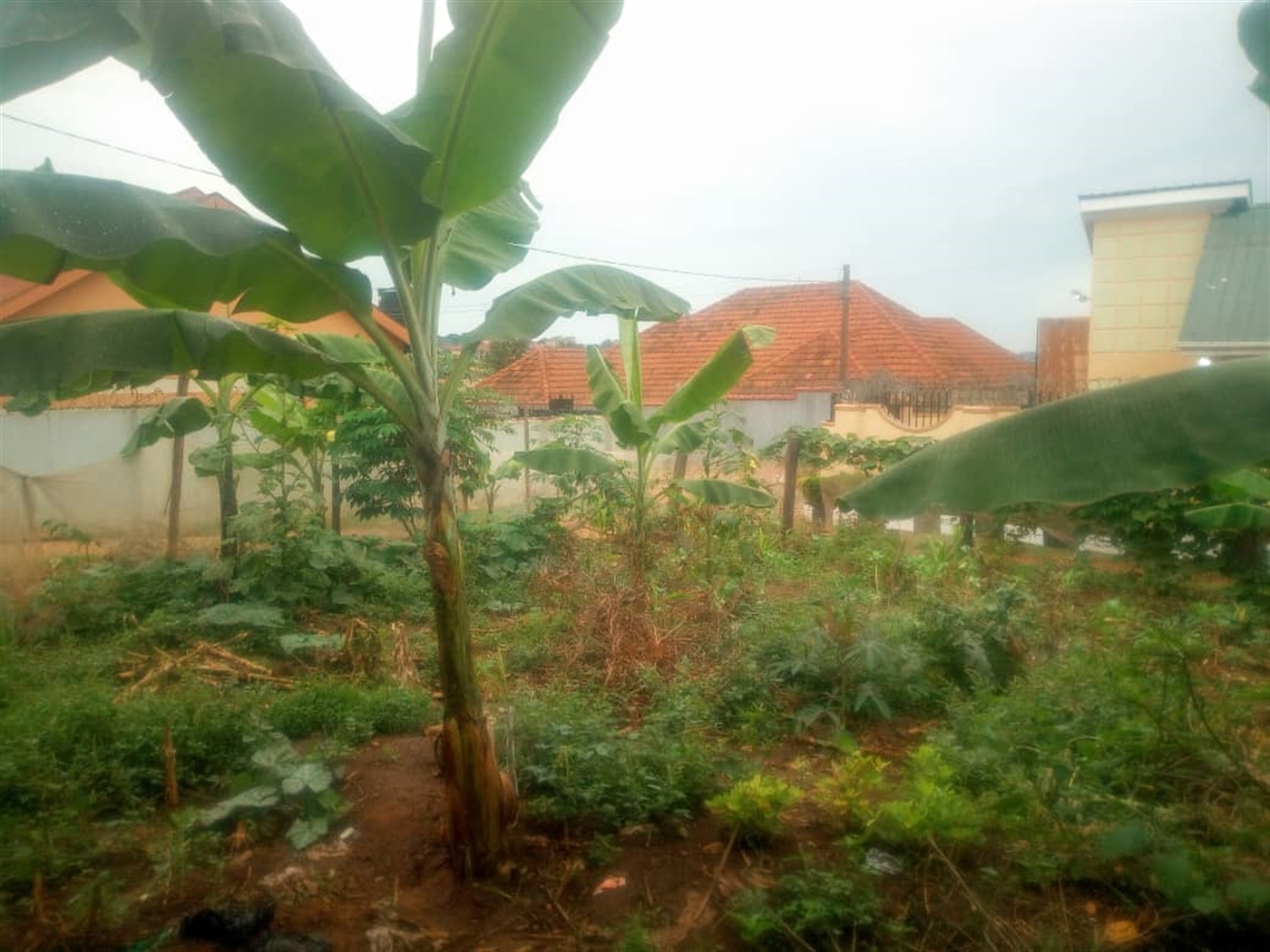 Residential Land for sale in Kiwaatule Kampala