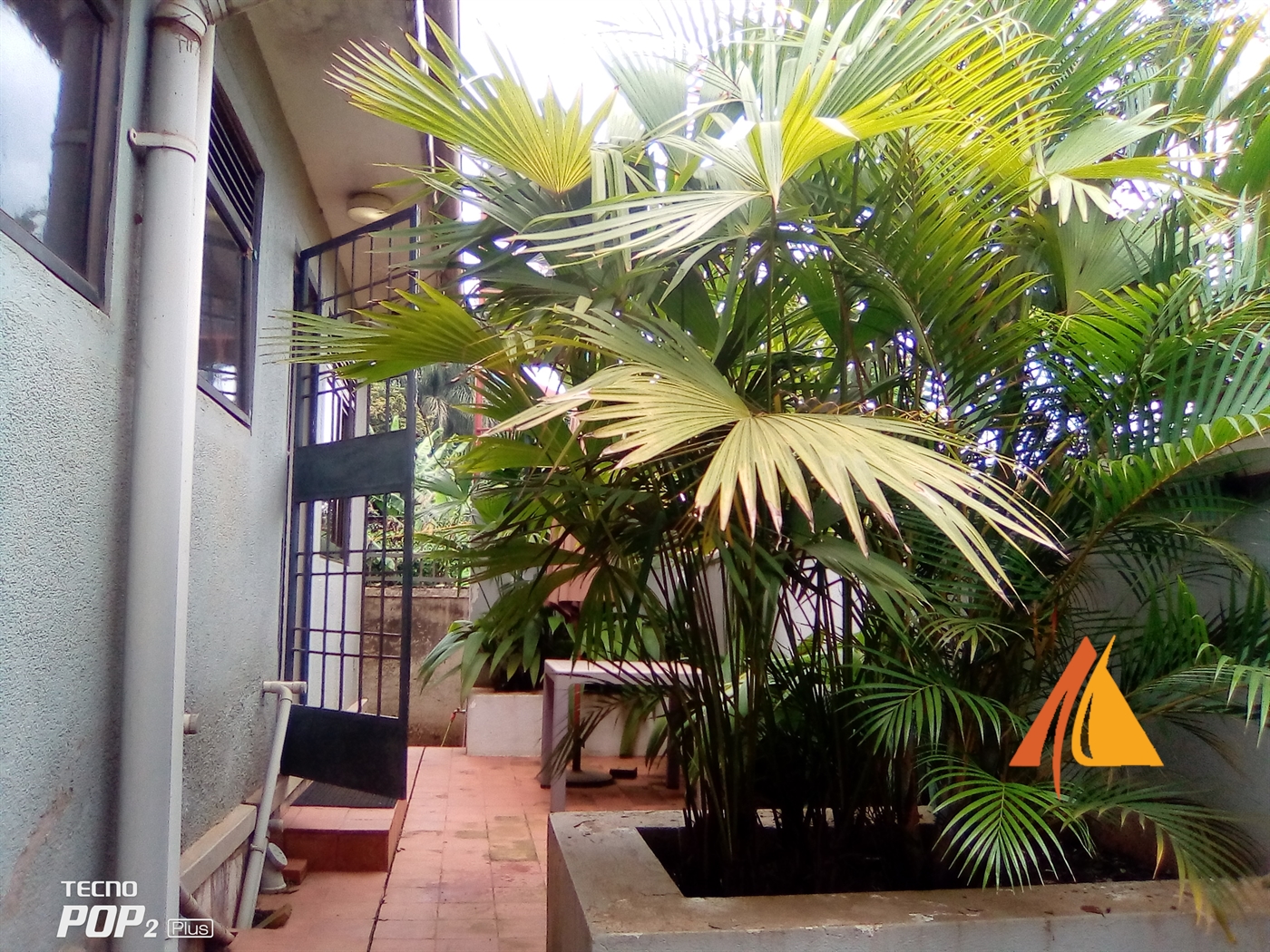 Semi Detached for rent in Kololo Kampala