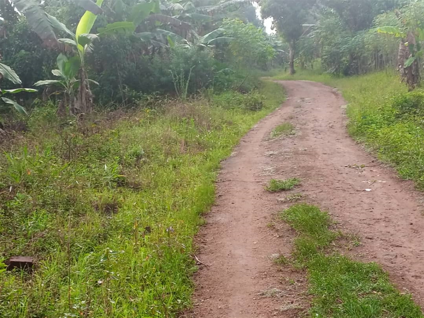 Agricultural Land for sale in Gombe Mpigi