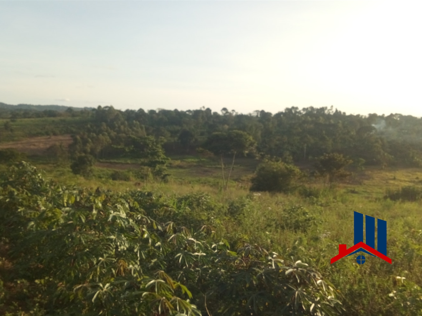 Agricultural Land for sale in Nkokonjeru Buyikwe