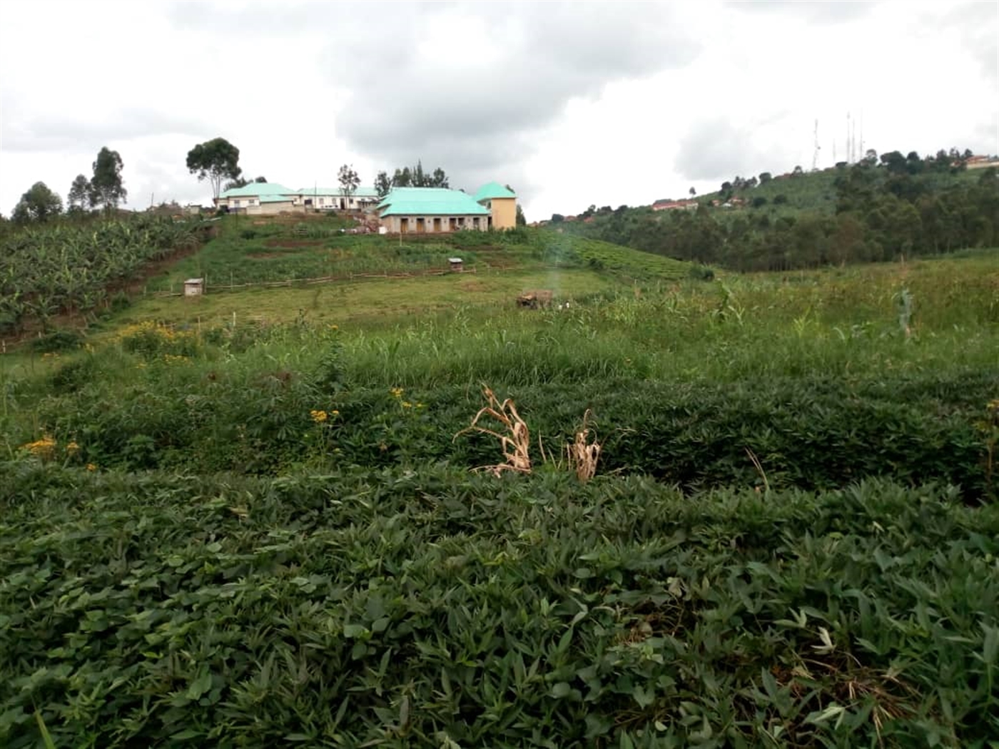 School for sale in Ishaka Busheenyi