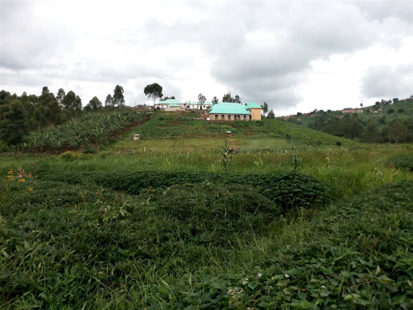 School for sale in Ishaka Busheenyi