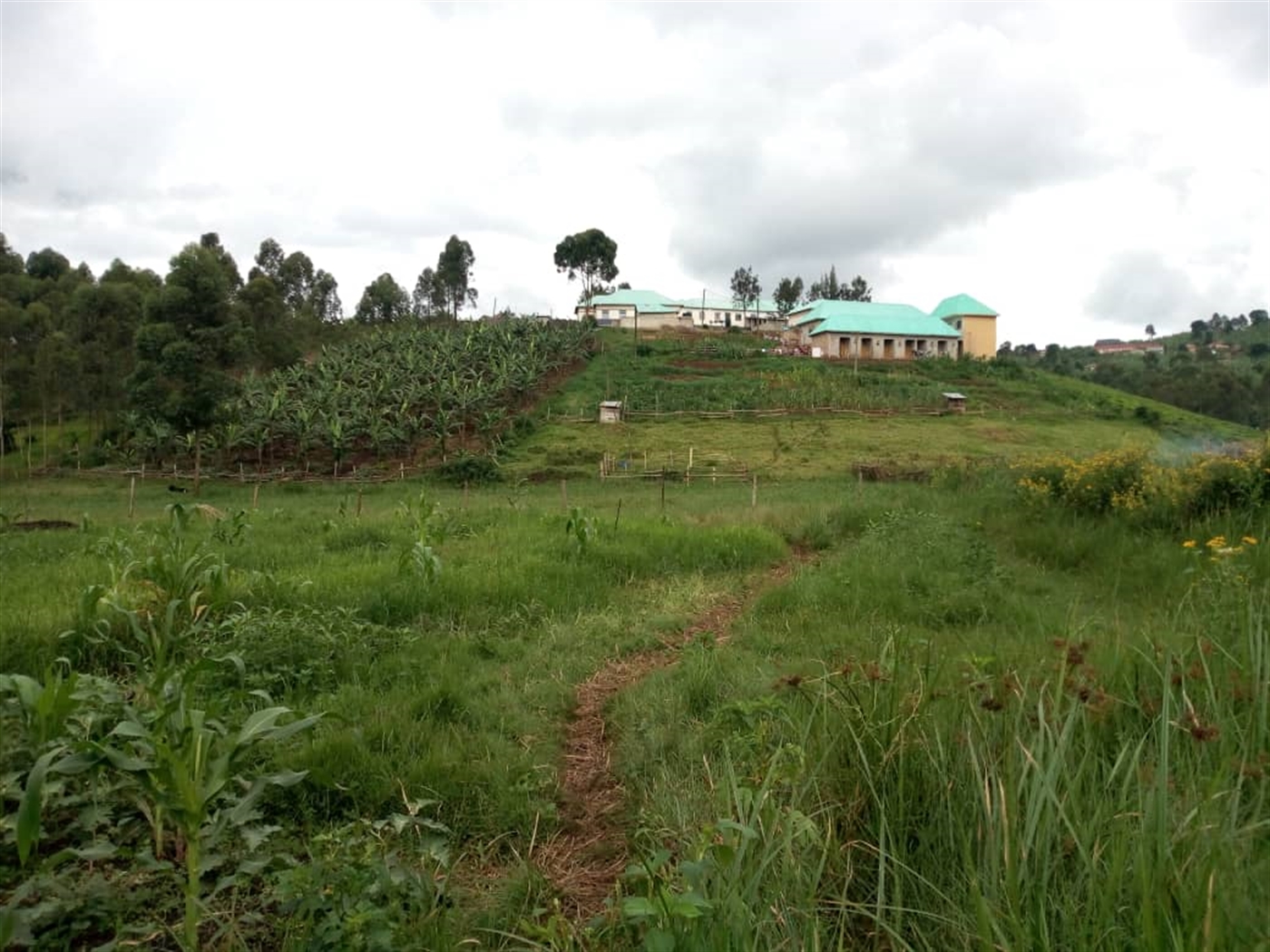 School for sale in Ishaka Busheenyi