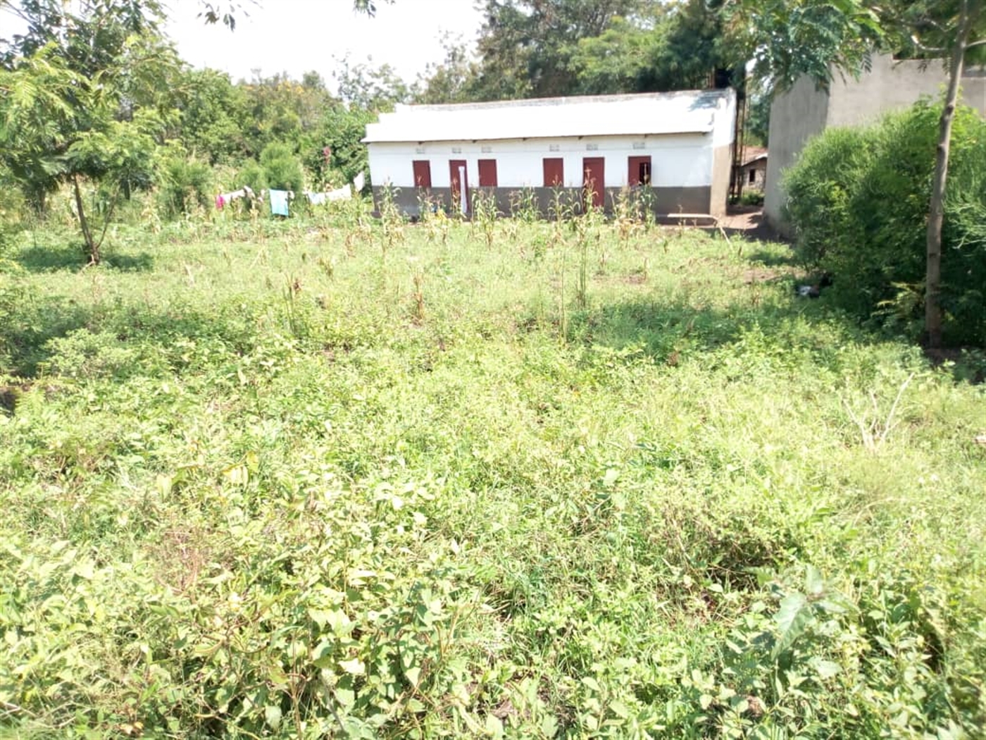 Residential Land for sale in Kiharimu Kaseese