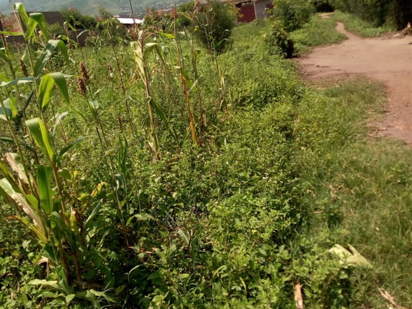 Multipurpose Land for sale in Kidodo Kaseese