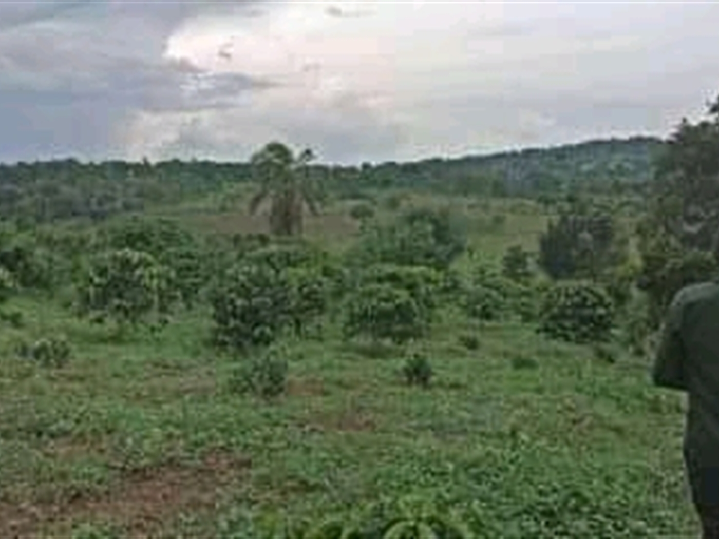Multipurpose Land for sale in Ggomba Mubende