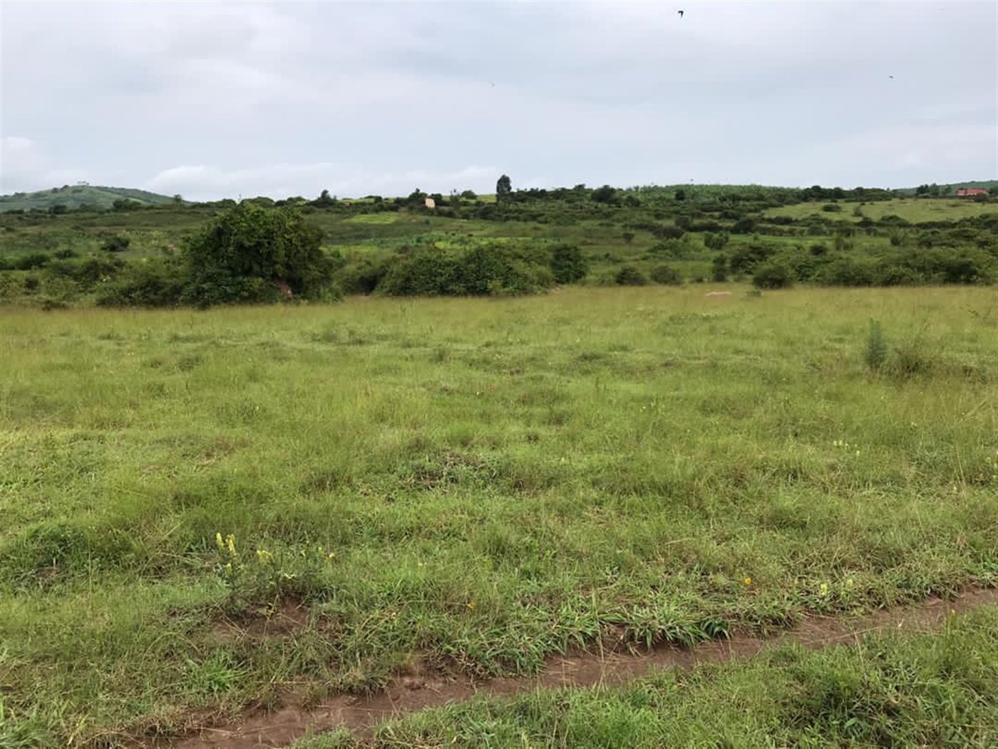 Multipurpose Land for sale in Ssanga Mbarara