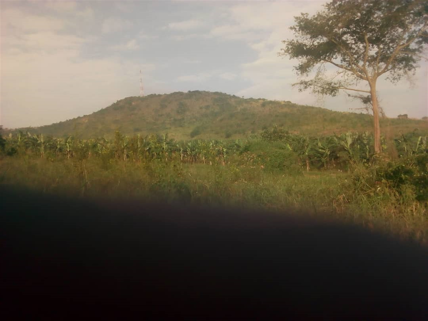 Agricultural Land for sale in Municipality Mubende