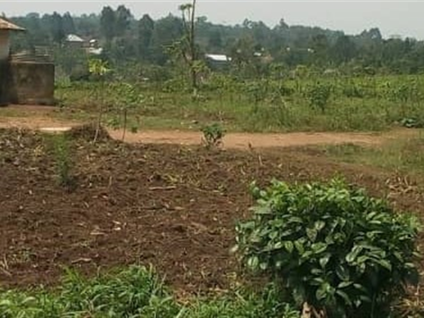 Multipurpose Land for sale in Municipality Mubende