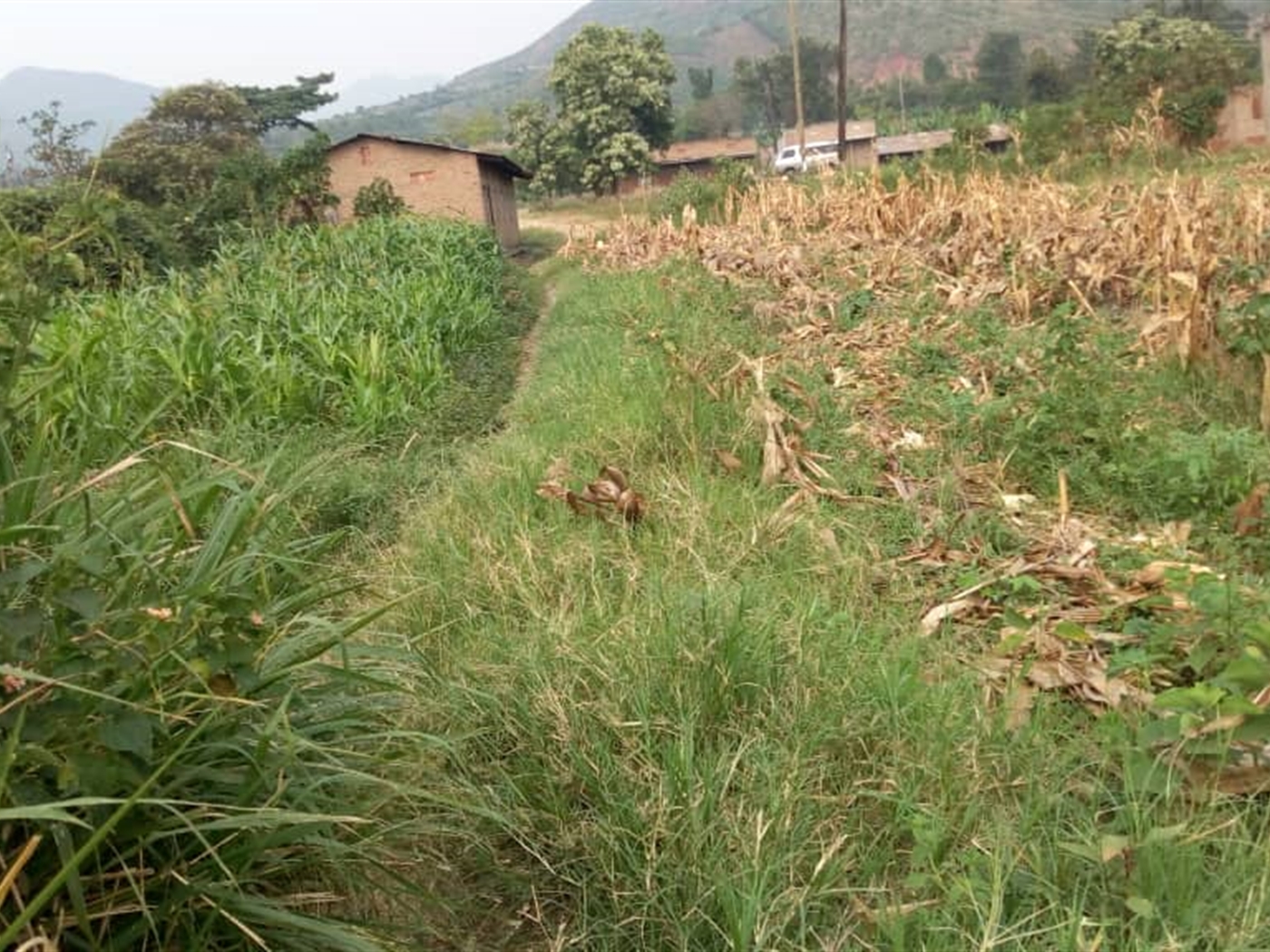 Industrial Land for sale in Kigoro Kaseese