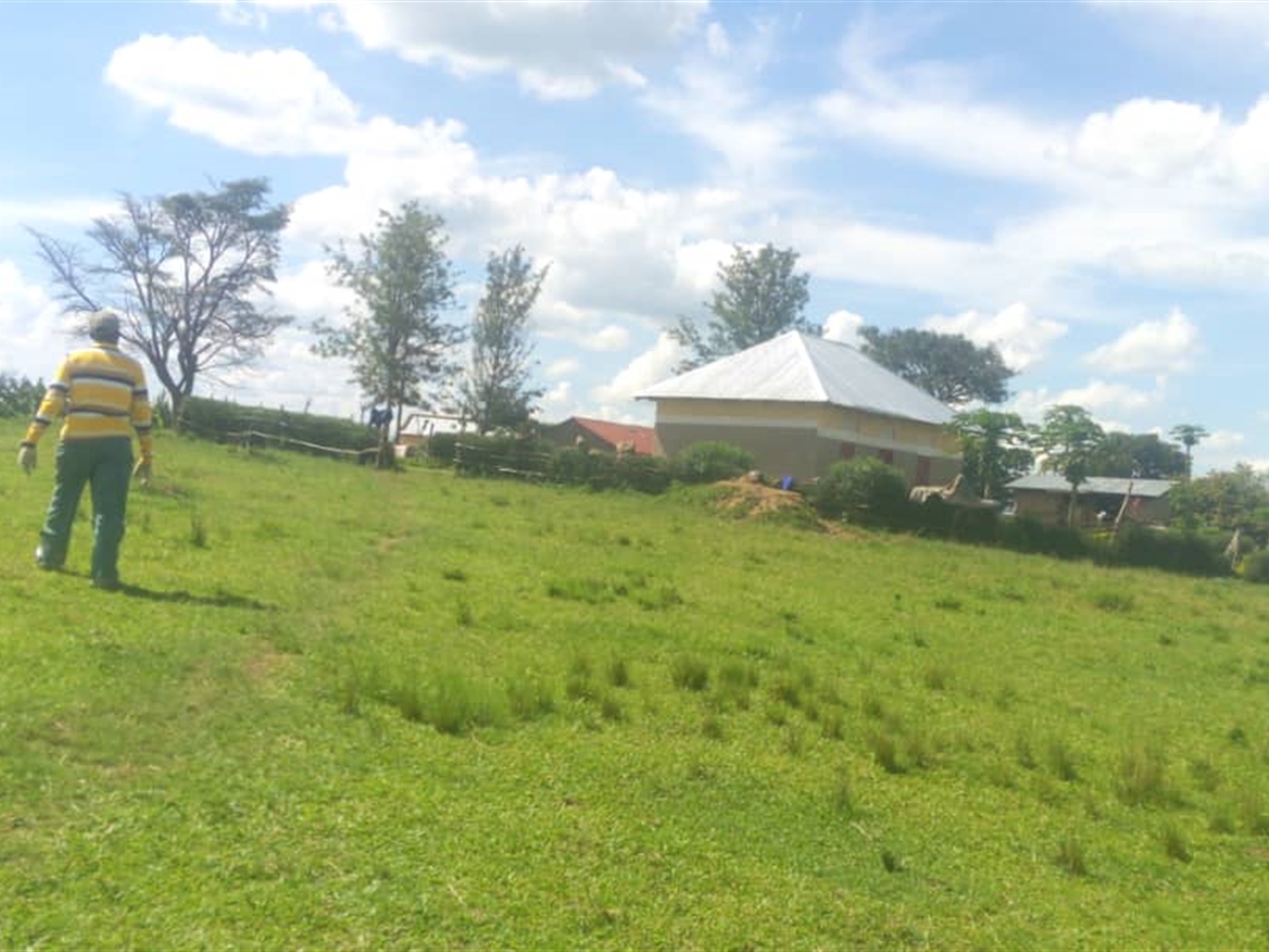 Agricultural Land for sale in Kashongi Mbarara