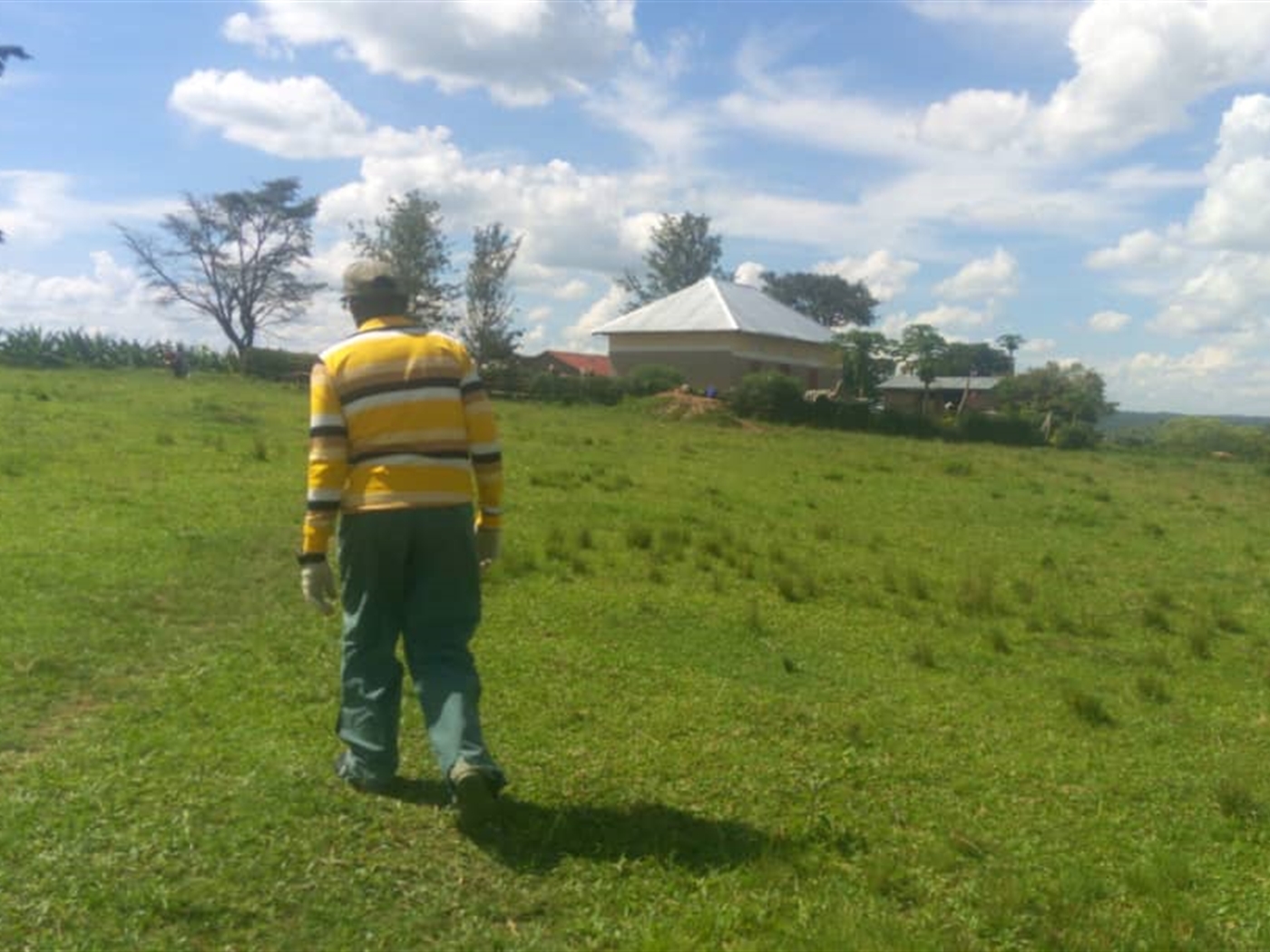 Agricultural Land for sale in Kashongi Mbarara