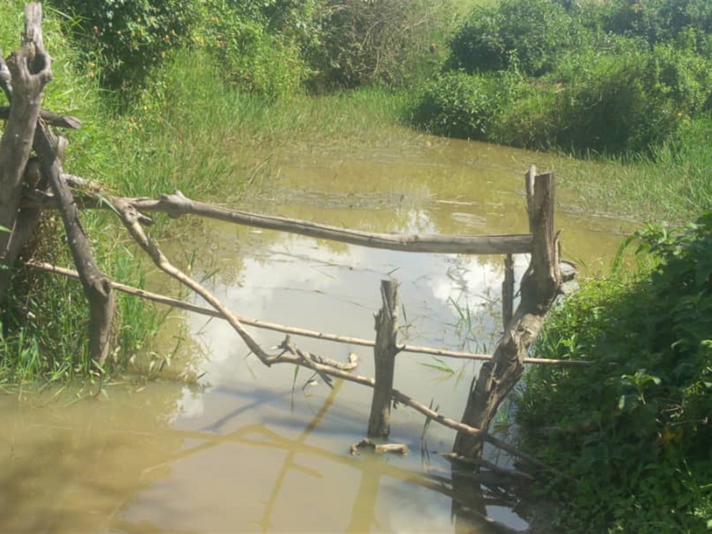 Agricultural Land for sale in Kashongi Mbarara