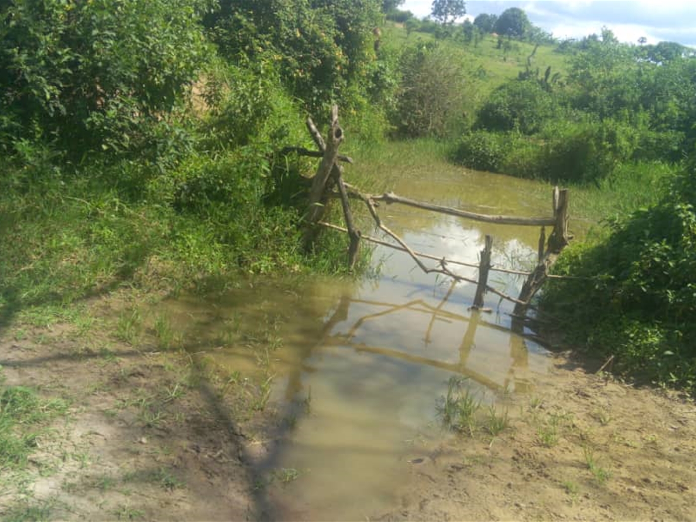 Agricultural Land for sale in Kashongi Mbarara