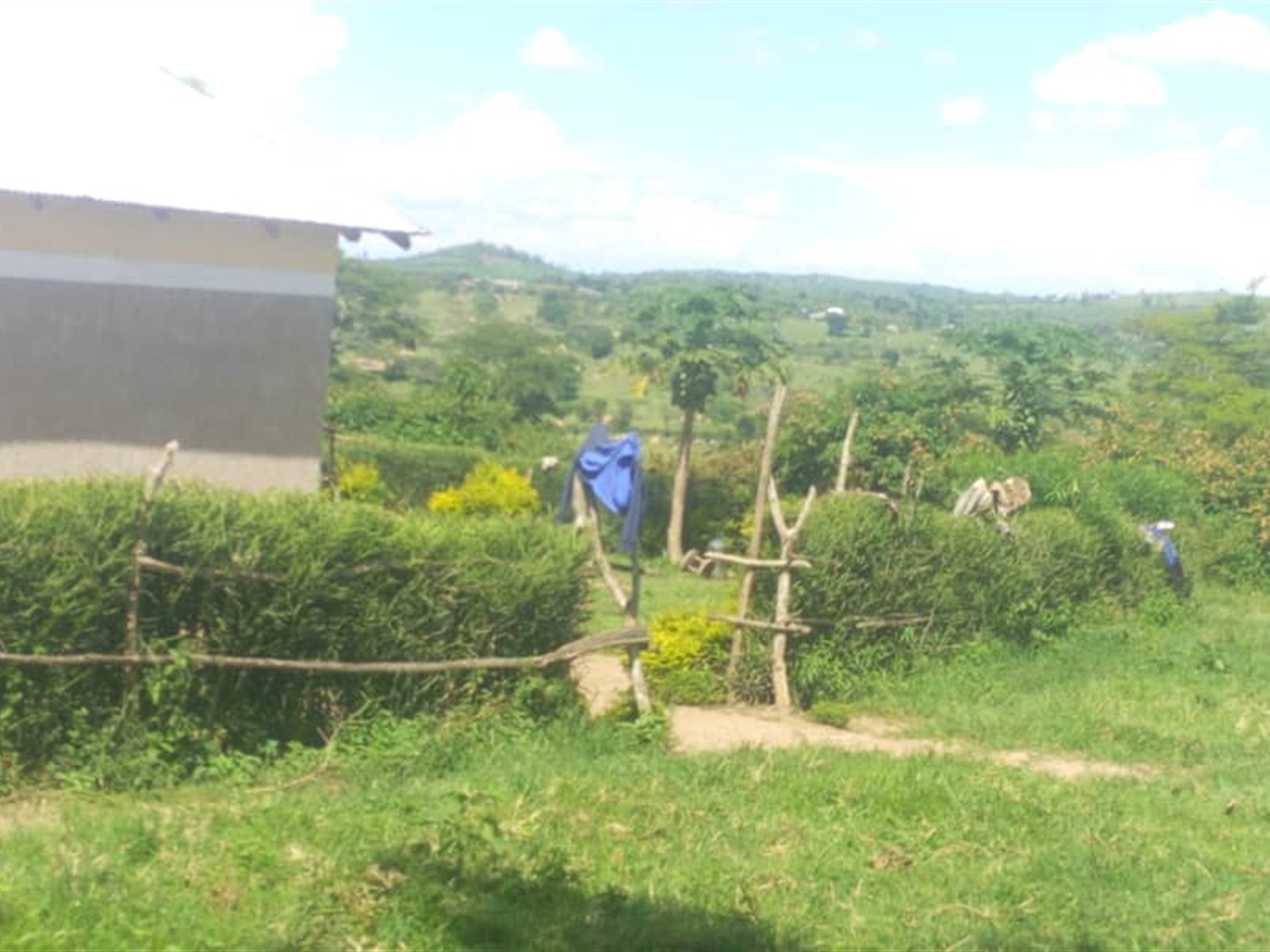 Agricultural Land for sale in Kashongi Mbarara