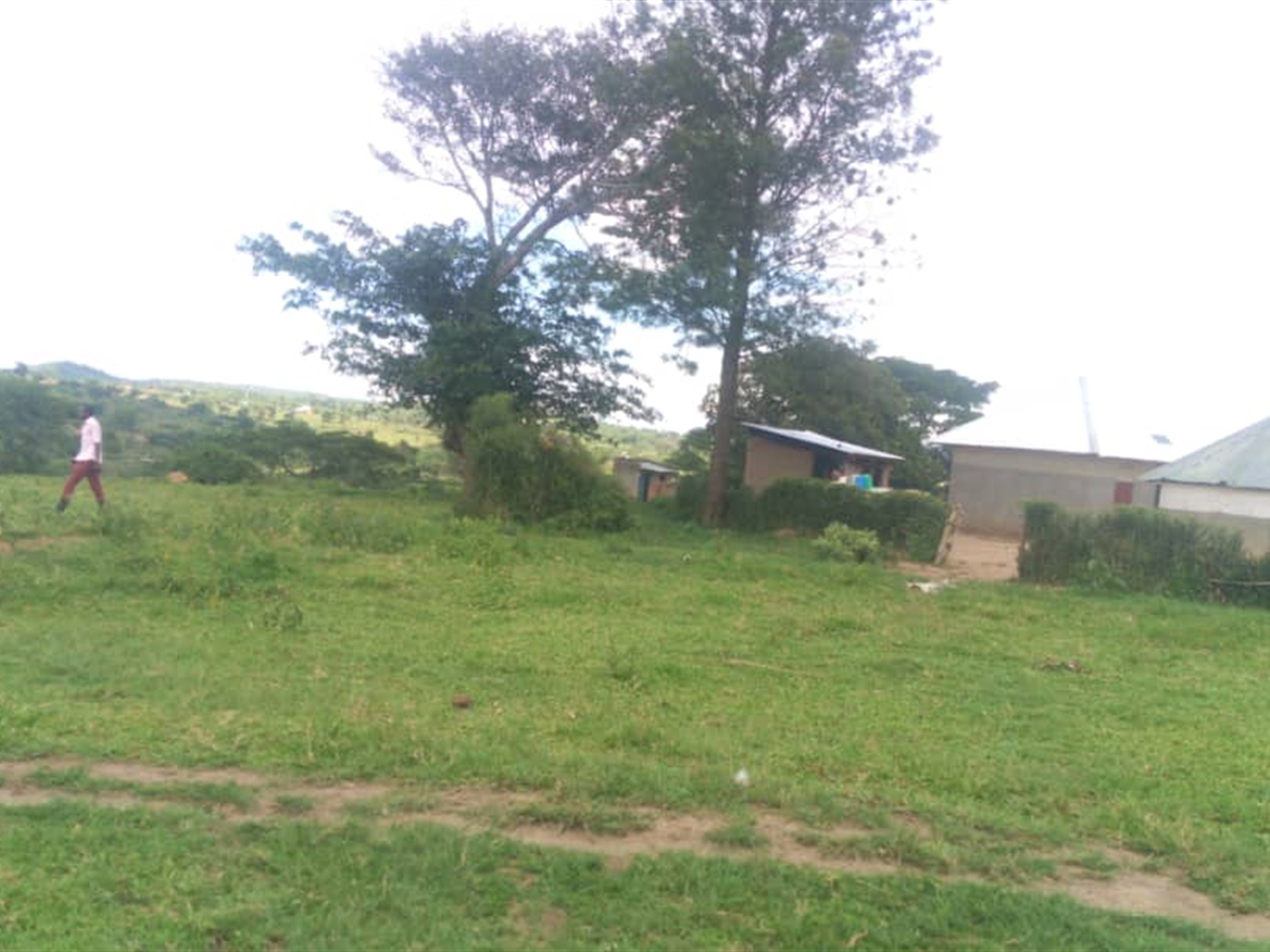 Agricultural Land for sale in Kashongi Mbarara