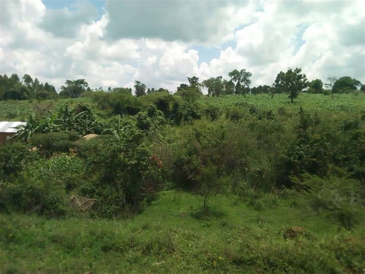 Commercial Land for sale in Nama Mubende