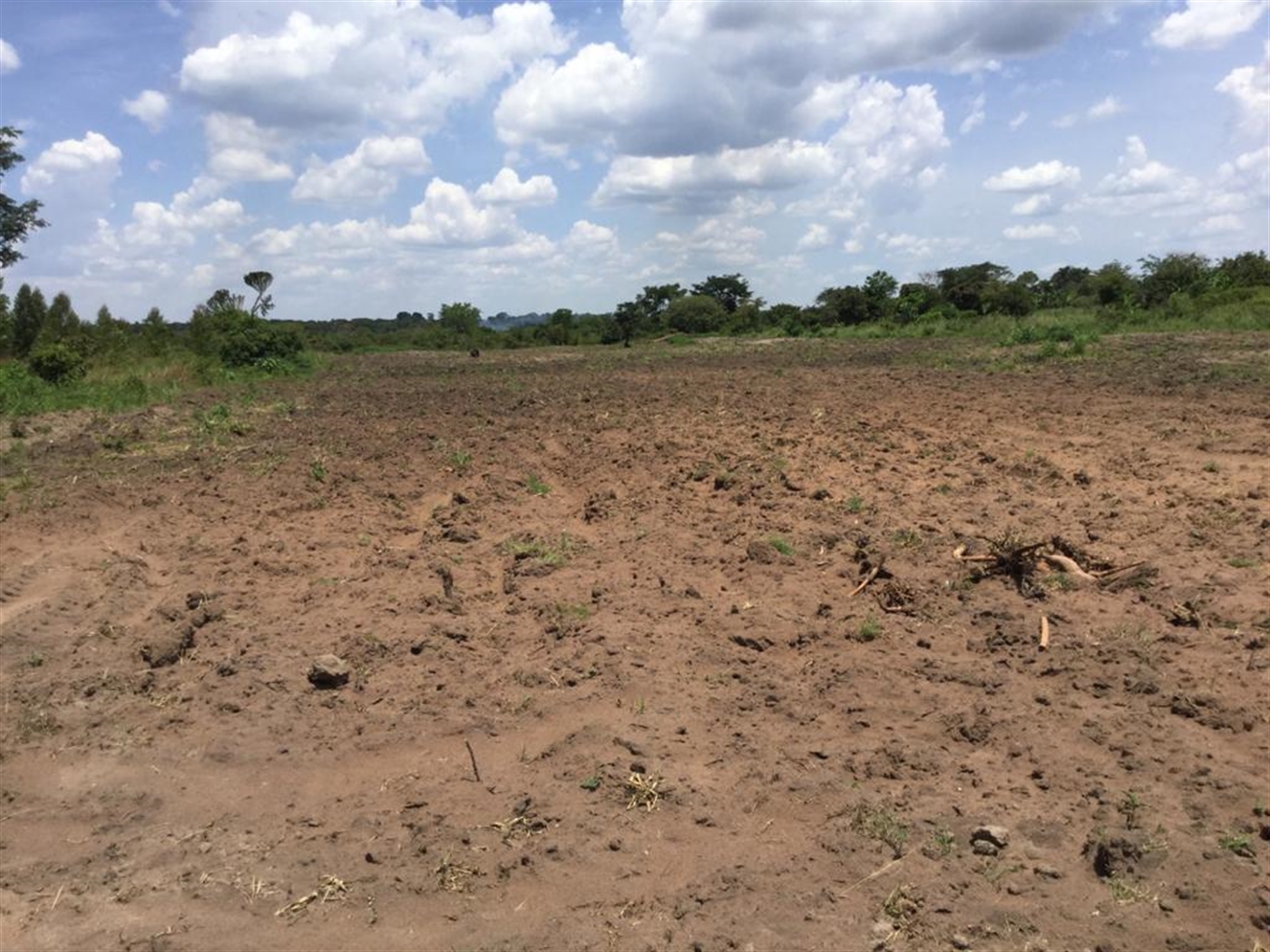 Farm for sale in Kamila Luweero