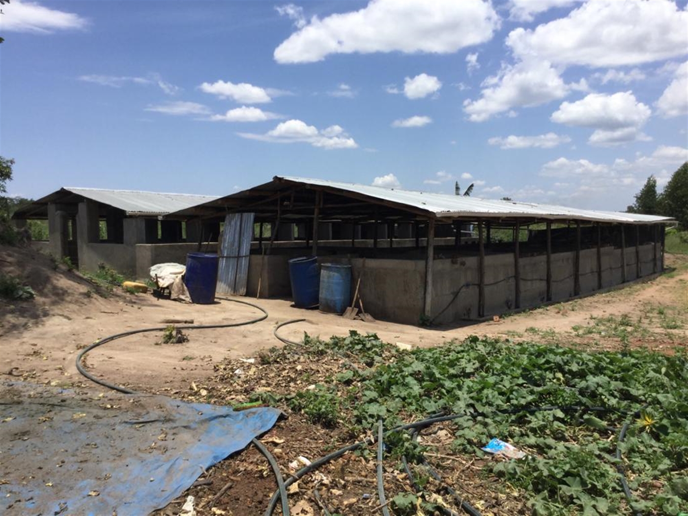 Farm for sale in Kamila Luweero