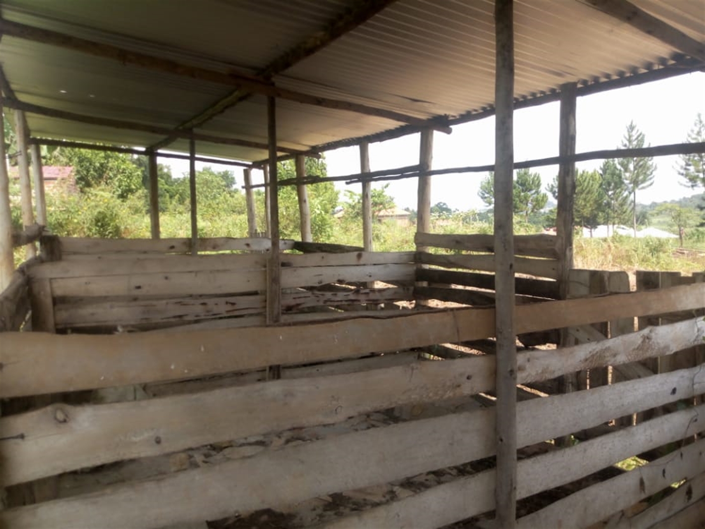 Farm for sale in Kamila Luweero