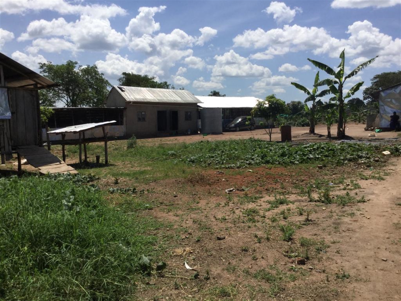 Farm for sale in Kamila Luweero