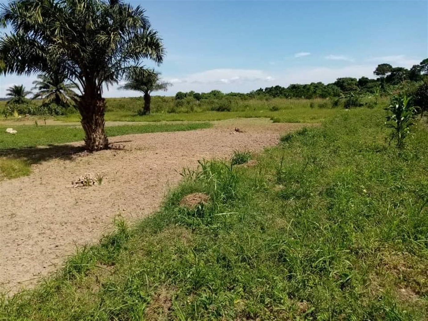 Recreational Land for sale in Garuga Wakiso