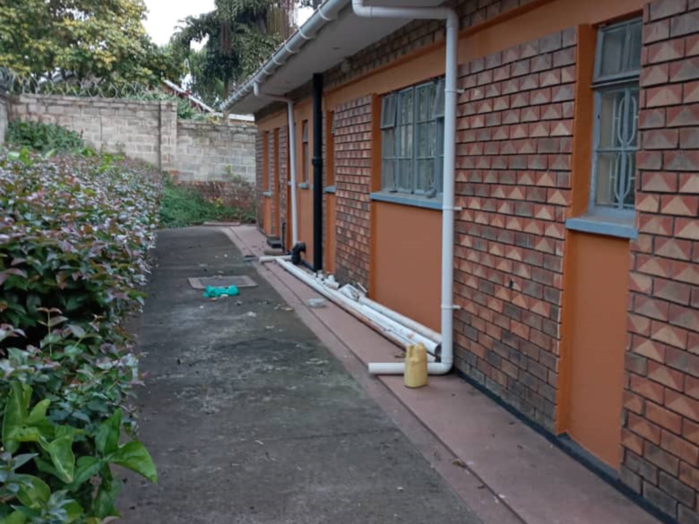 Bungalow for rent in Bugoloobi Kampala