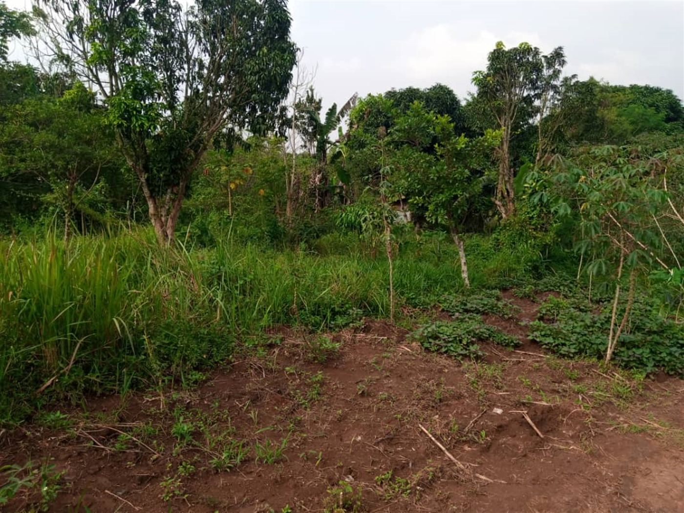Multipurpose Land for sale in Namugongo Mukono