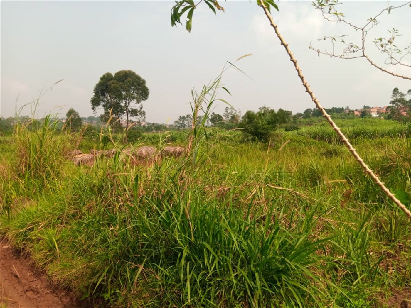 Multipurpose Land for sale in Namugongo Mukono