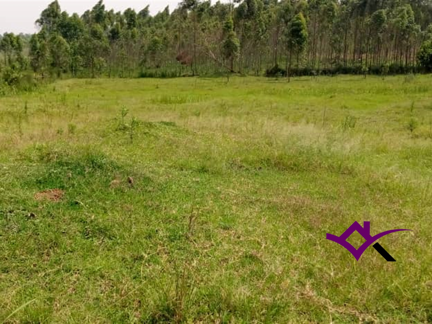 Multipurpose Land for sale in Nkokonjeru Buyikwe
